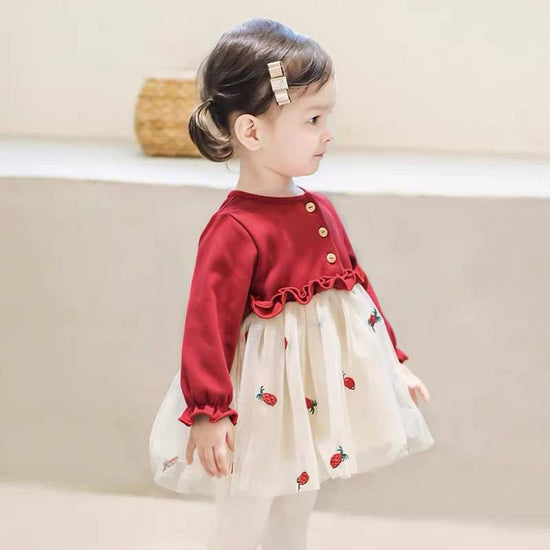 Embroidery Baby Dress