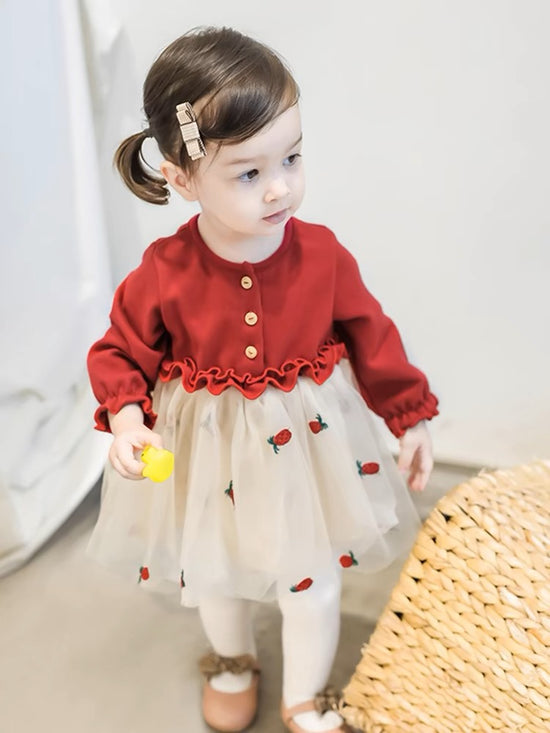 Embroidery Baby Dress